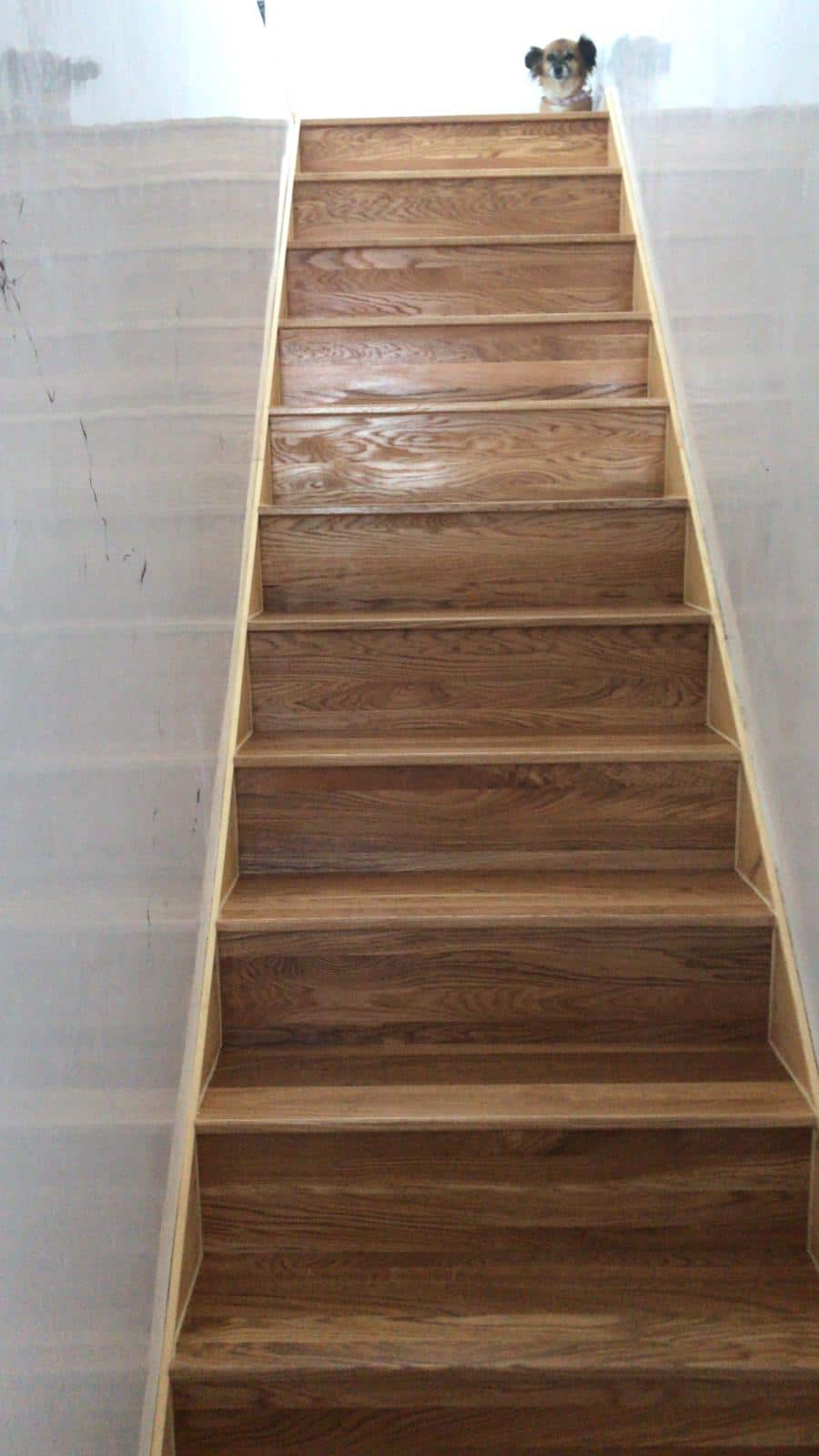 Interior finish by Express Builders